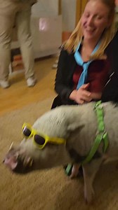 49K views · 3.7K reactions | Ilyen volt Dezsővel a forgatás, a végeredményt pedig mi is kíváncsian várjuk!  The Deep Creative Collective | Rupert Malac | Facebook