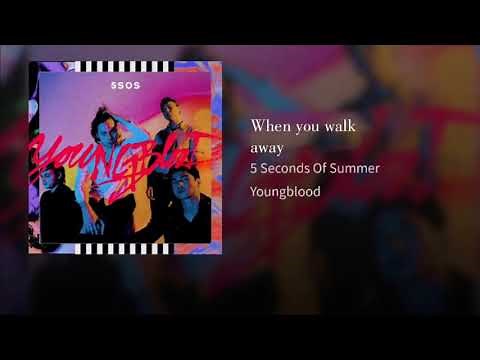 5 Seconds Of Summer- When you walk away (Target Audio)