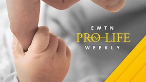 10K views · 417 reactions | Stand Up for a Culture of Life with This...