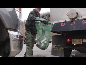 WVDNR increases Buffalo Creek trout stocking