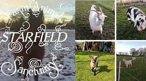 Winter hay funds for the animals at Starfield!