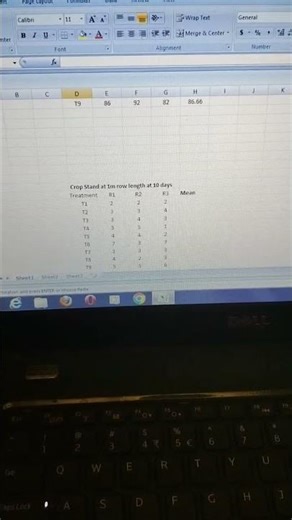 “Thesis Data Analysis Process 📊 | MSc Agriculture Life 🌱”#trending #shorts #youtubeshorts #thesis