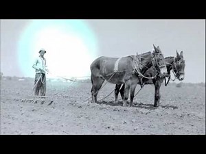 Million Dollar Monarch