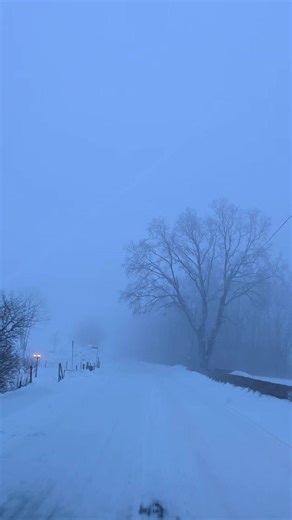 #🇮🇶🇸🇪Sweden