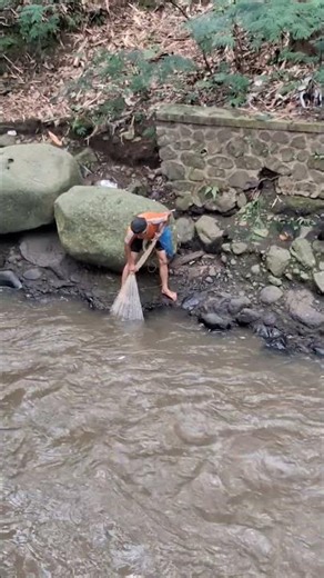 jala ikan di sungei deras #wisata #bandung #sawah