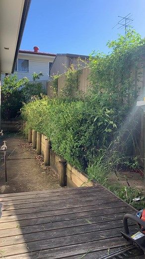 448K views · 3.9K reactions | Hedges trimming ✂️For more watching please follow:@gardener_david_sydney David’s mowing #mowing #lawn #grass #sydney #edge #greenwaste #hedges #trimming#gardening #gardeningaustralia #gardencleanup#yard #yardcleanup #frontyard #backyard #frontgarden #backyardgarden#guttercleaning #gutter #satisfying #leaves #tree#potting #weeds#weeding#ride #rideon#yardmaintenance #lawnmaintenance #lawnmowerrepair | David's Mowing Sydney NSW | Facebook