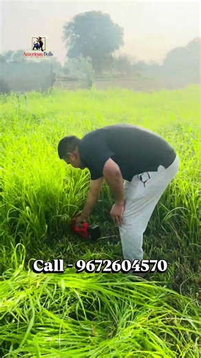 Ghas katne wali machine #grasscutter