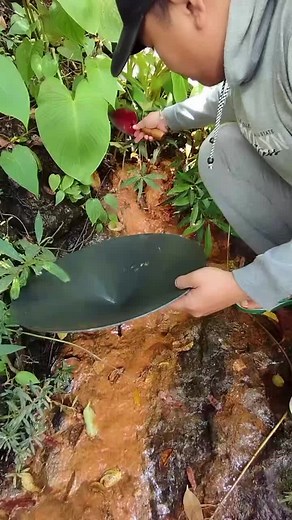 Nanda Gold Mine on TikTok