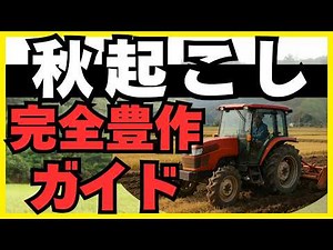 [You'll be missing out if you don't know] Why does "Aki-okoshi" rice taste better? A scientific e...