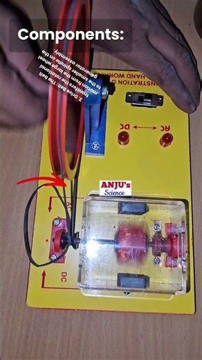 Working Model of Dynamo AC/DC Generator #shorts