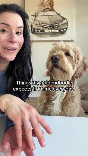 Daily Life with a Goldendoodle: Expectations and Routines