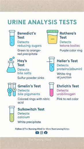 The Nursing Mind | By Nursing Rankers on Instagram: "💧 Quick Review: Urine Analysis Tests Made Simple! From sugars to proteins, bile salts to calcium — these tests help detect important changes in the body. Perfect for nursing and medical exam prep! 🧪👩‍⚕️👨‍⚕️ 👉 Save this post for revision 👉 Share with your study buddy Follow @The Nursing Mind for more high-yield notes ✨ #UrineAnalysis #NursingNotes #MedicalStudents #NursingStudy #LabTests #NursingPreparation #NursingExam #AIIMSNORCET #NEET
