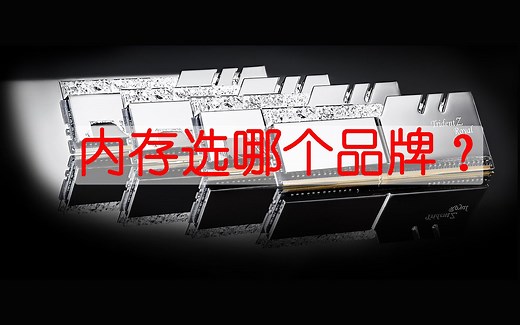 内存品牌这么多，选哪个好呢？哪些品牌的内存不值得购买？