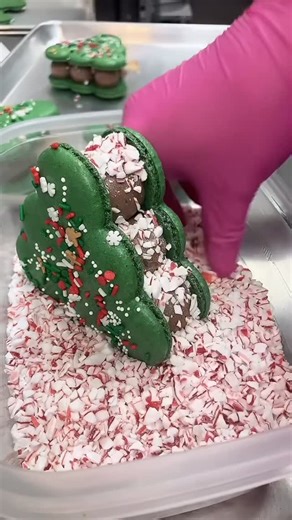 oh honey macaron on Instagram: "Christmas tree macaron with peppermint chocolate filling 🤎❤️ #bayareaeats"