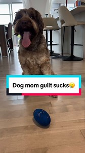 How to Manage a Hyper Dog When You’re Busy and Overwhelmed