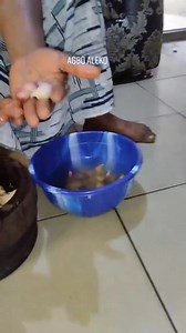 385K views · 5.1K reactions | AGBO ALEKO TOKI #fblifestyle | Ifa Olokun Asọrọdayọ | Facebook