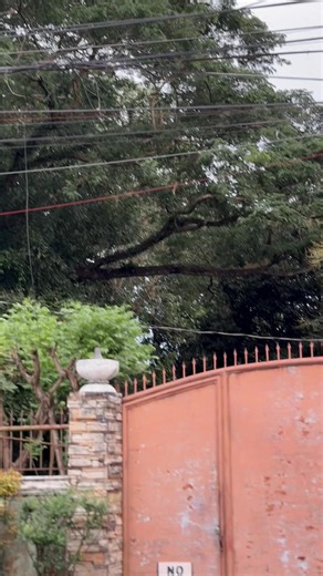 Fresh from Casa: AeroX Turbo and AeroX V3