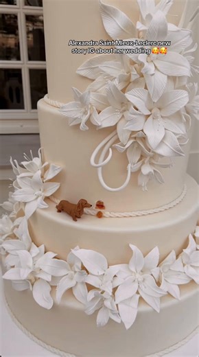 I think it's so cute that there's a mini Leo on the cake, it really suits them both @Alexandra Leclerc @Charles Leclerc #fyp #ALEXANDRASAINTMLEUX #CHARLESLECLERC #wedding #LEOLECLERC I am not Alexandra or Charles , I’m just a fan 🤍