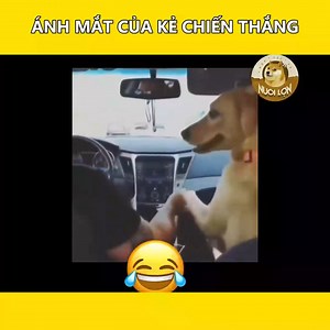 Trà xanh này thì ai gen cho nổi 😂 | Machinex.vn