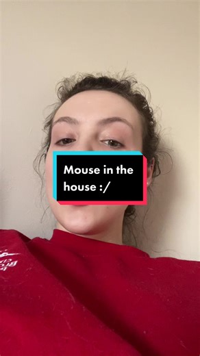 There’s a mouse in my house 😭 #fypシ #miceproblems #mice #mousetrap #mouse #mouseinthehouse