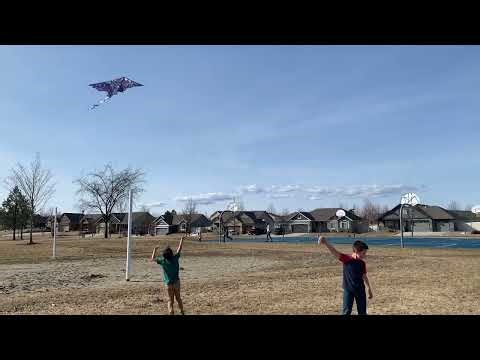 Fantocemea Dragon Kite Review | Easy to Fly for Beach Trip Park Family Outdoor Activities