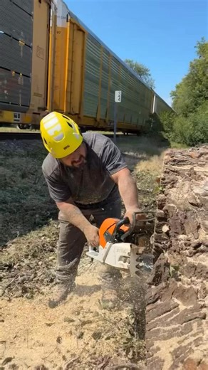 Nothing wakes you up like the sound of a chainsaw and the smell of fuel. Some fellas might need a sugar sip from Starbucks, but I prefer things the old fashioned way. I’ll take my coffee how I take life: just as it comes. | Shiver Me Timbers Tree Service