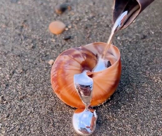 Crafting wonders: The art of metal in motion