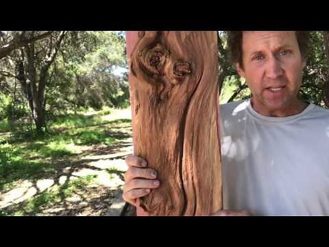 Wall Art Wood Sculpture