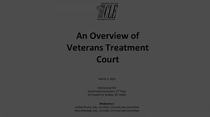 #2456 An Overview of Veterans Treatment Court