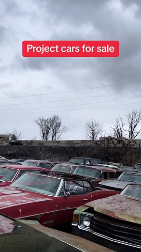 150 project cars for sale in the Philadelphia area. Direct message for more information or visit liquidatemyyard.com to see our full inventory list. #classiccars #projectcar #vintagecar #classiccarsdaily #junkyard #junkyardfinds #classiccarsoftiktok