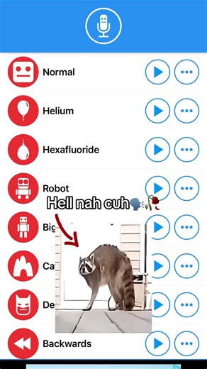 Hell nah cuh🗣️🥀 #meme #viral #follow #goofyahsound #hellnahcuh | hell nah