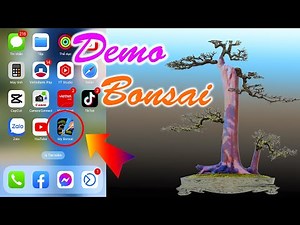 DeMo cây Bonsai bằng Điện Thoại cho Người Mới chơi Bonsai cực DỄ