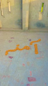 Amna ko kabuter kha ga #pigeon #nam #video #names
