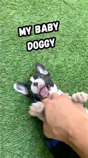 LOL That's just my baby doggy! 🤣🐶🐾🤣