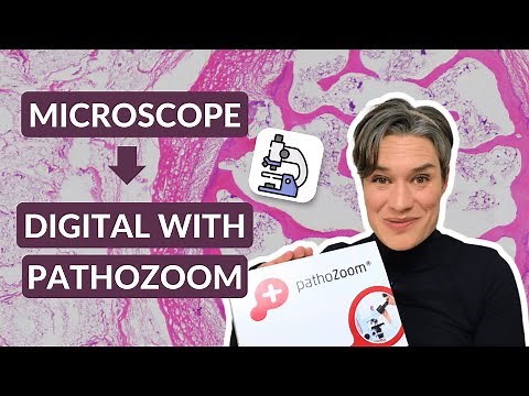 Live View and Scanning Microscope Camera | PathoZoom by Smart in Media