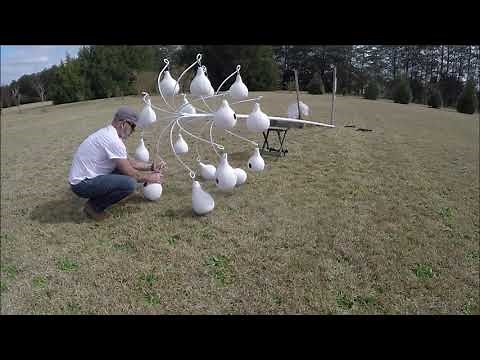 Purple martin pole and house setup in Darlington, SC