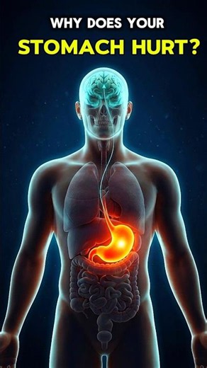 Why Does Your Stomach Hurt? 🫃 The Real Reason!