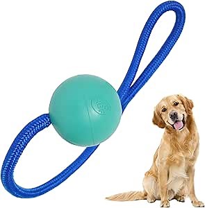 Crazy Bounce Ball On A Rope, Natural Rubber Dog Ball, Ideal for K9 Training, No-Slip Loop for Easy Grip, Fillable Dog Fetch Ball, Exercise & Reward Tool, Peanut Butter-Scented, Aqua Size L