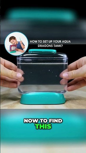 Hatching Aqua Dragons: The Complete Set Up Guide 🌊🐉