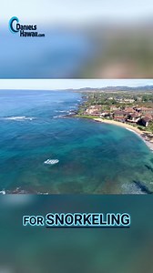 Explore the stunning Poipu Beach Park on Kauai's south shore, a top destination for snorkeling and diving. Swim with vibrant marine life in the protected lagoon or dive into deeper waters to uncover breathtaking coral formations and underwater wonders. Experience an aquatic paradise today! Find the best Tours and Activities in Hawaii on https://DanielsHawaiiActivities.com Need to contact a Hawaii Activities Consultant? Call or Text 1(808)400-4481 or visit https://DanielsHawaii.com #danielshawaii