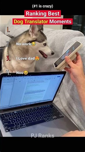 Ranking the Best Dog Translator Moments😂||PJ Ranks #shortsfeed #shorts #prank #dog #cute #funny #fun