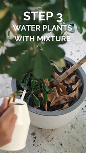 2.8K views · 41 reactions | Looking for ways to treat your magnesium deficient plant babies? Epsom salt can be a great benefit to your plants! When needed, just mix into water - be sure not to use the mixture daily. | Epsom Salt | Facebook