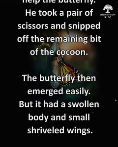 19K views · 605 reactions | Have a nice day and struggle a little ❤️ | Lessons Taught By Life | Facebook