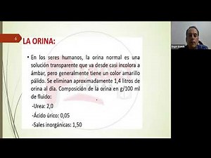 ASCENSO DE ESCALA 2021 - CIENCIA Y TECNOLOGIA