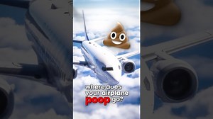 Where does airplane poop go?