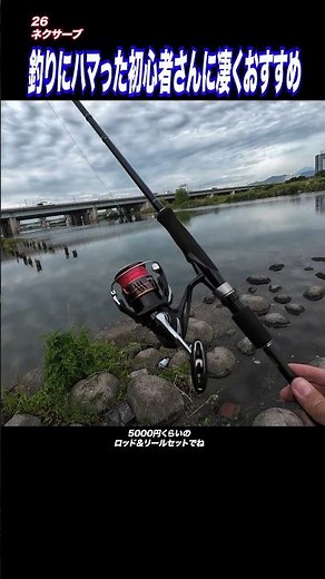 Highly Recommended for Beginners Hooked on Fishing