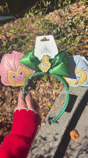 Alice in Wonderland Ears at Epcot: A Magical Find