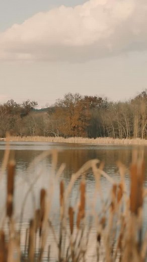 36 reactions · 4 comments | Your story is worthy... because God is...