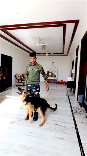 Ravi Dog Trainer on Instagram: "🐕‍🦺GERMAN SHEPHERD🐕‍🦺basic obedience training program tricks #instgram #short #share #training #video"