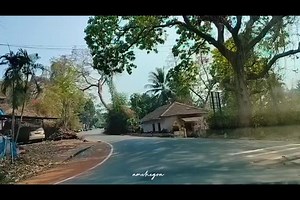 57K views · 1.7K reactions | Enjoy this drive through the beautiful roads of Goa! Guess the location!! #longdrive #amchegoa #roadsofgoa | Amche Goa | Facebook